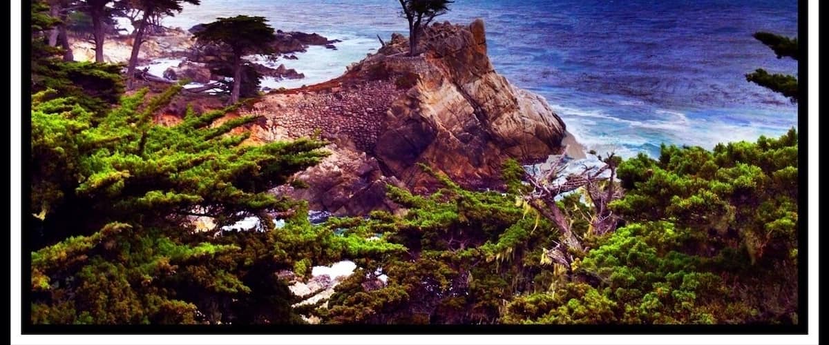 Iconic view of the lone cypress. I never get tired of this view despite seeing it a thousand times. Classic. #beachbound. #troveontuesday