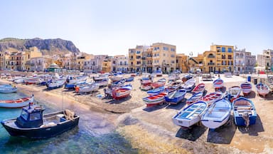 A coastal town with colorful buildings, a beach, and numerous small boats.