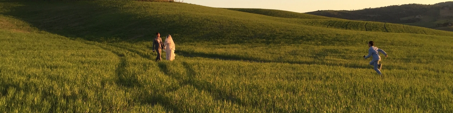 A grassy field with a group of people walking and a person running.