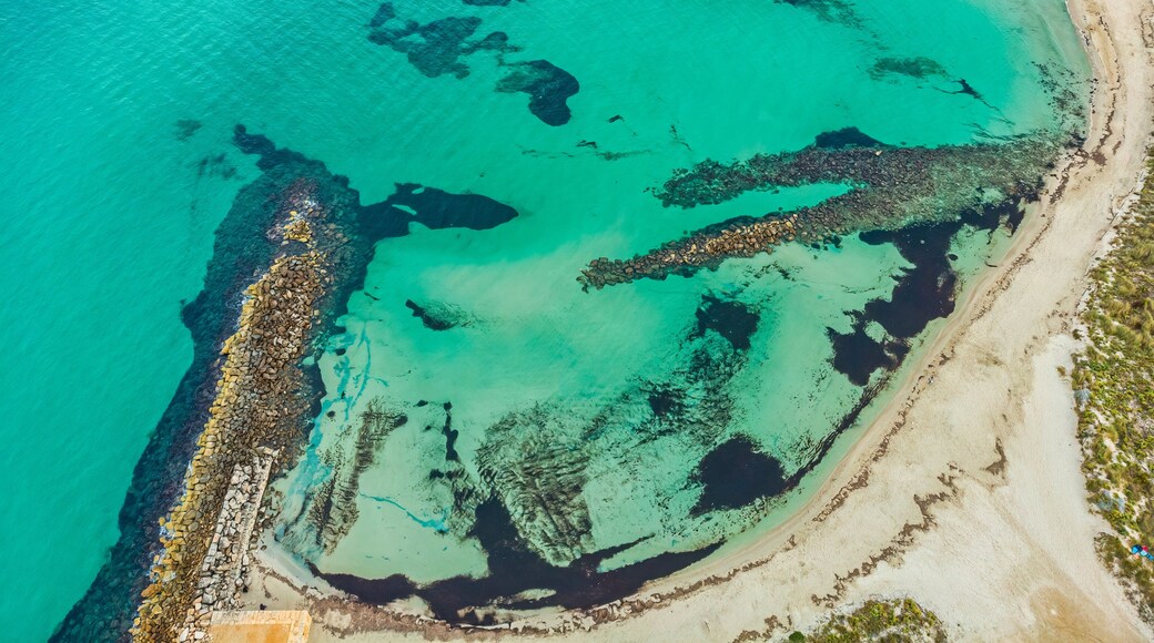 San Vito dei Normanni