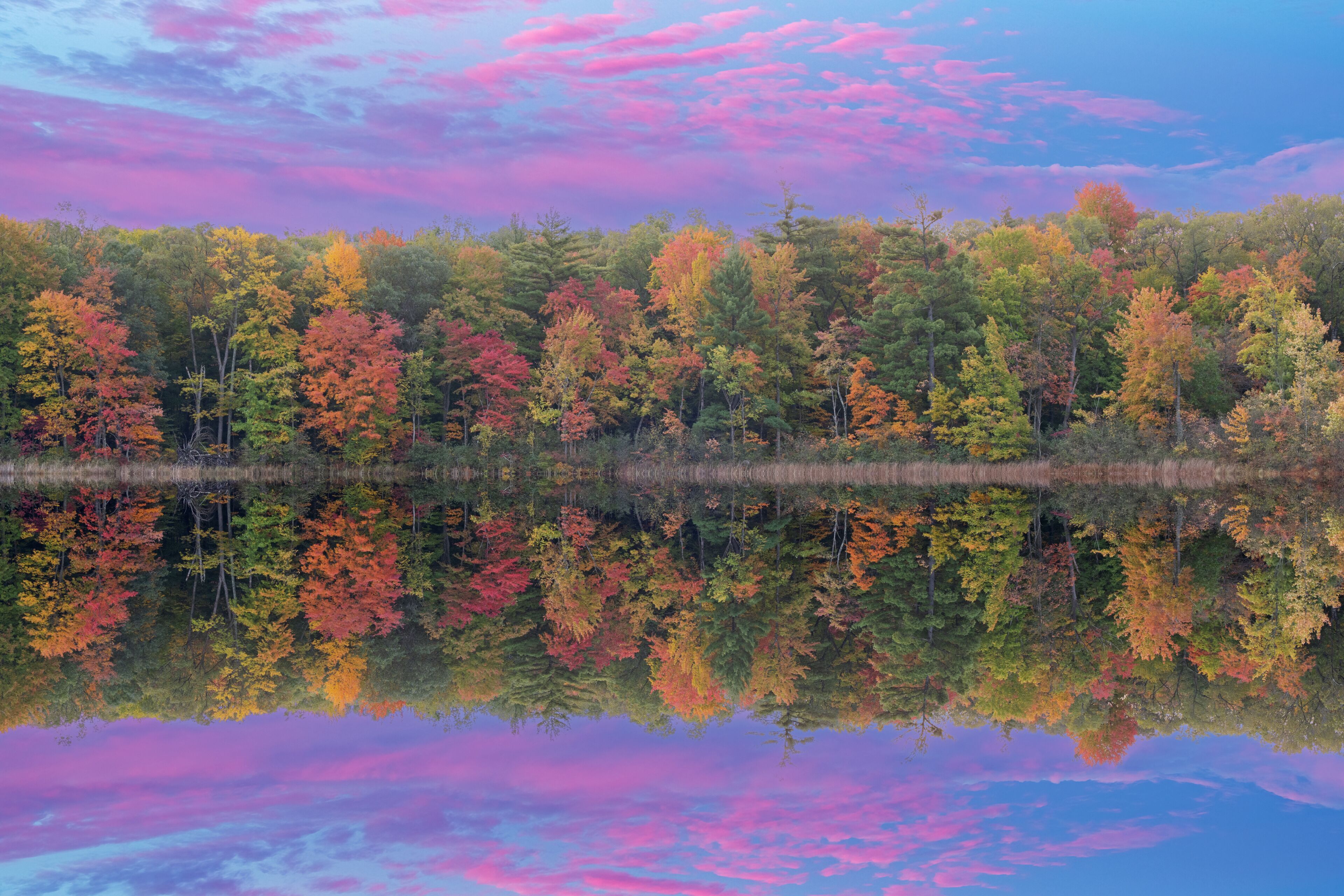 A calm lake reflecting colorful autumn trees and a sky with pink clouds.