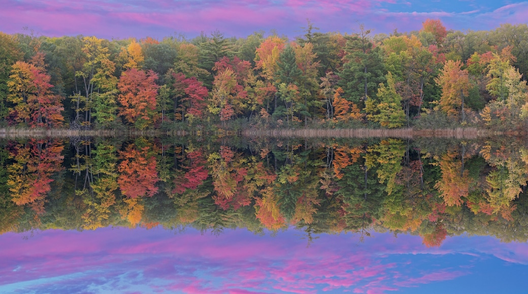 A calm lake reflecting colorful autumn trees and a sky with pink clouds.