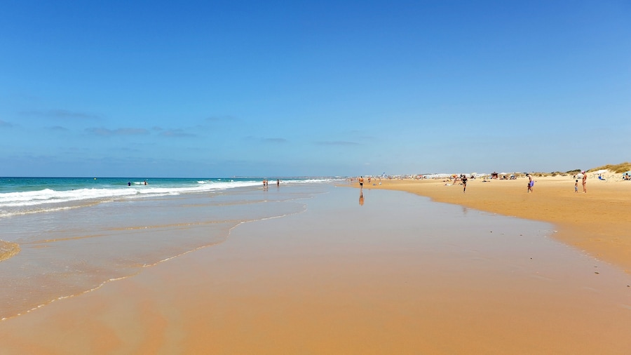 콘일 데 라 프론테라