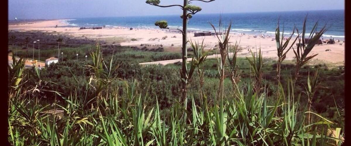 Conil Beach on the Costa de la Luz, Spain is a superb little getaway not far from Cadiz.
#Beach #Spain #Travel #Wanderlust