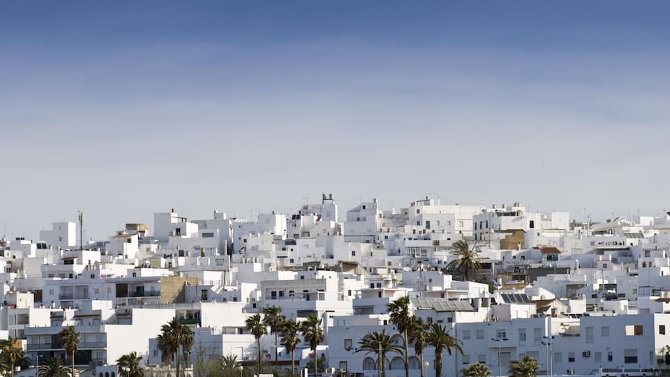A densely packed white urban area with numerous buildings and palm trees.