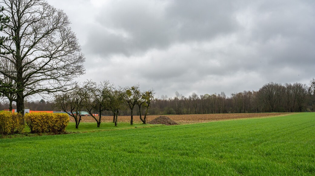Agriculture fields with sown land and trees at the Flemish countryside around Kortenberg, Region, Belgium