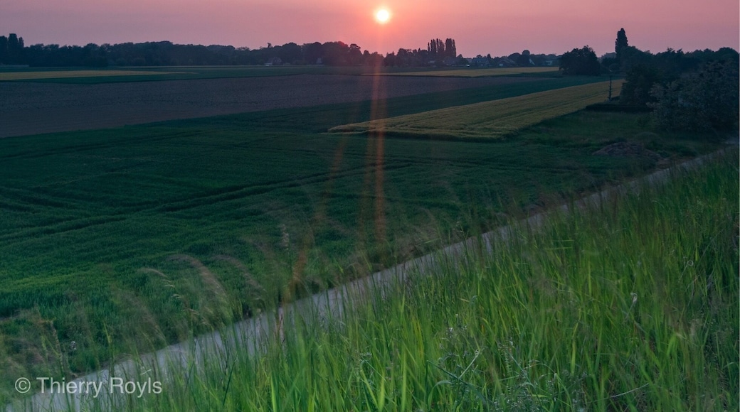 On the bridge over the railway of the Zavelstraat can you discover amazing sunsets, with a view over the fields without to be ennoyed from the bugs, certainly a photo spot.
More pictures on Instagram @thierryroyls_nature
