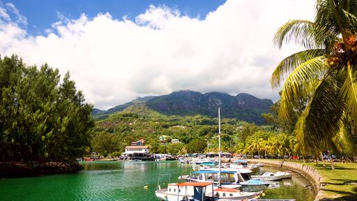 Seychelles Yacht Club and marina, Victoria, Mahe
