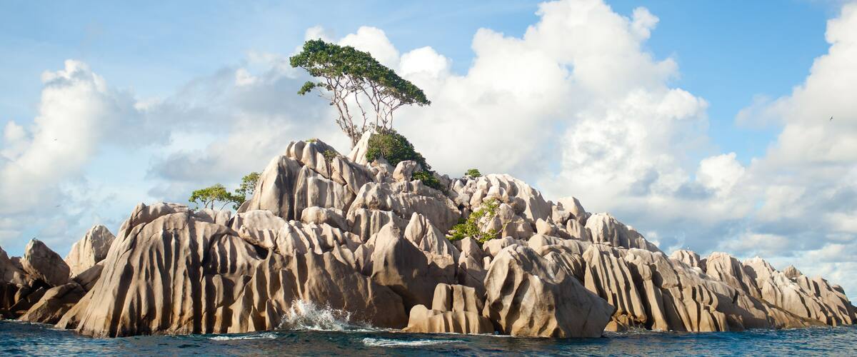 A rocky island with a tree in the center surrounded by water.