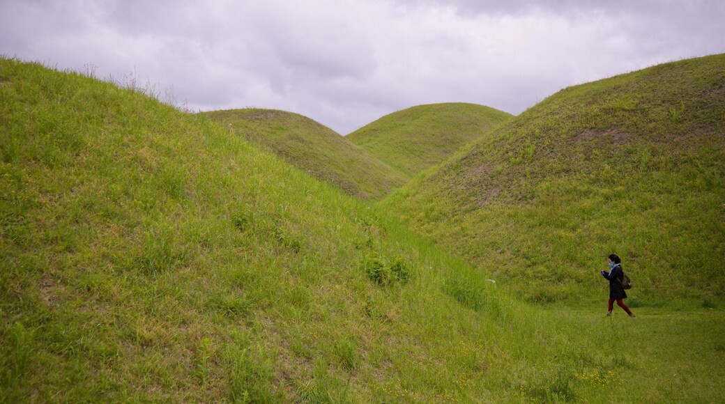 Gyeongju featuring a park as well as an individual femail