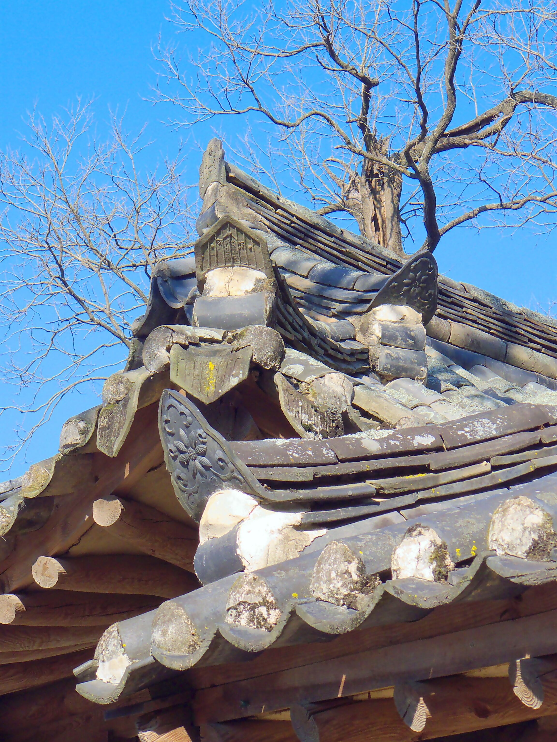 A traditional Japanese roof with intricate tile patterns and a tree in the background.