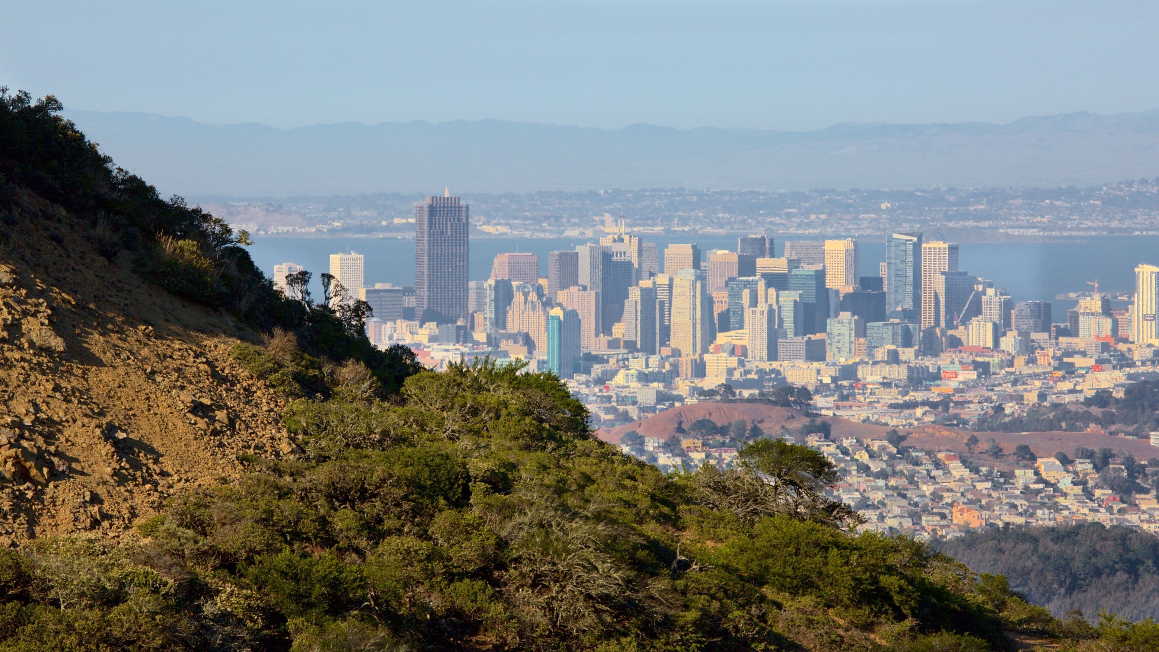Brisbane showing a city and city views
