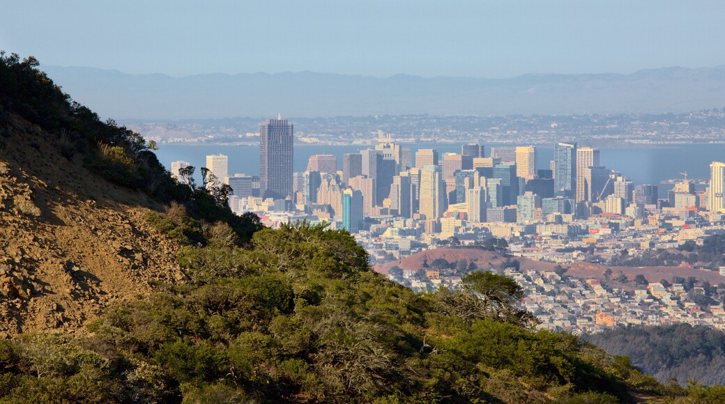 Brisbane showing a city and city views