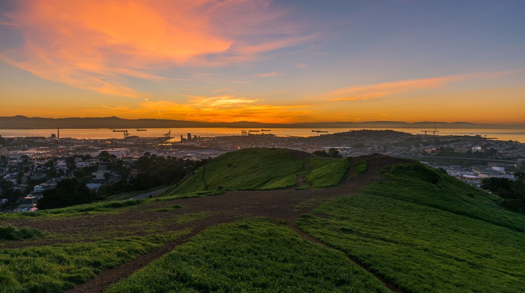 Bayview