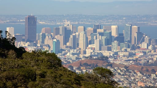 Brisbane showing central business district and a city