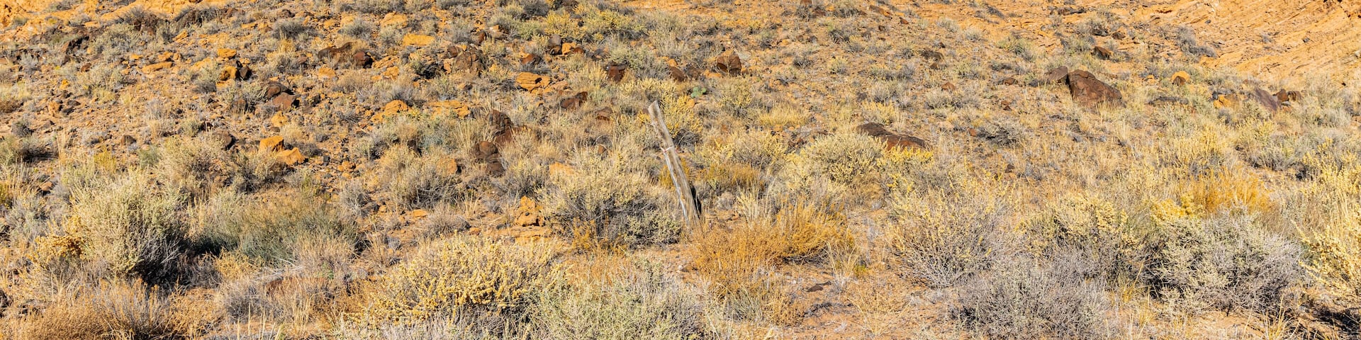 Santa Ana Pueblo Hotel Guide
