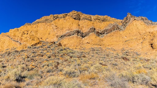 聖安娜普韋布洛