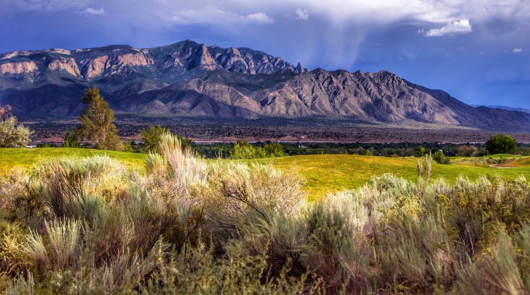 The backdrop for my friend's wedding. Beautiful views!