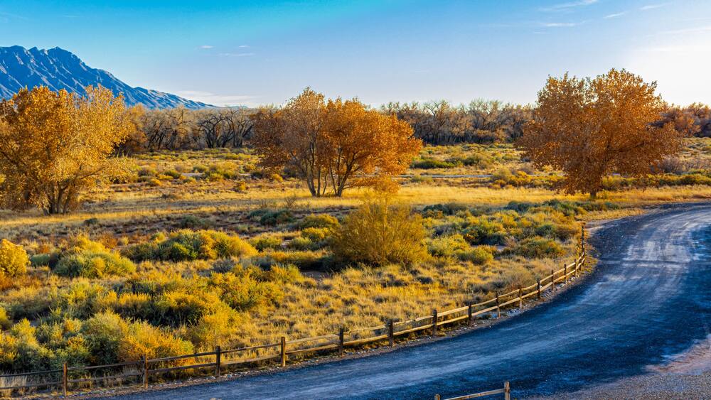 Fall Color and Sandia Mountains on The Bosque Forest, Santa Ana Pueblo, New Mexico, USA
