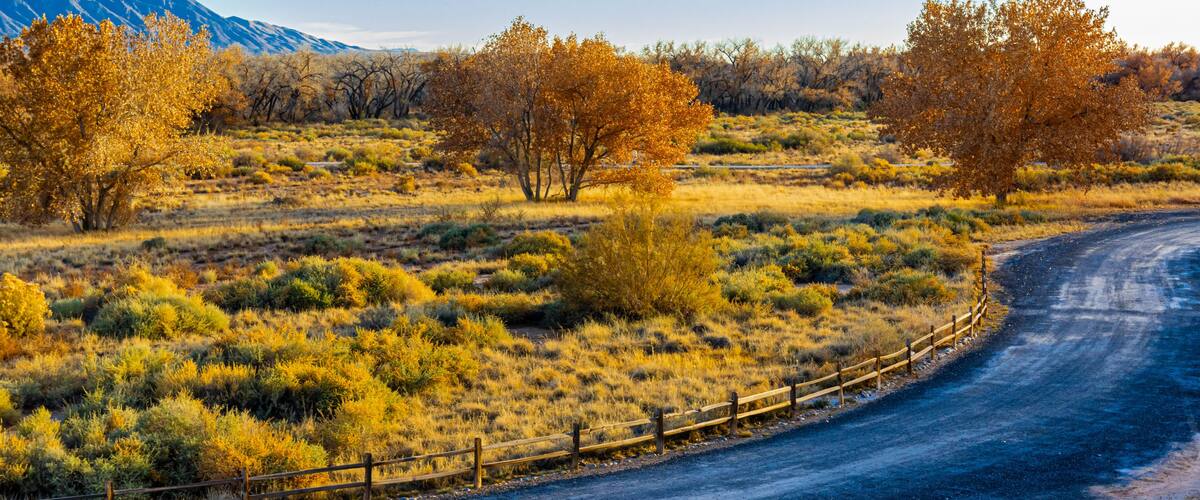 Fall Color and Sandia Mountains on The Bosque Forest, Santa Ana Pueblo, New Mexico, USA