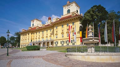 Eisenstadt showing an administrative buidling, heritage architecture and street scenes