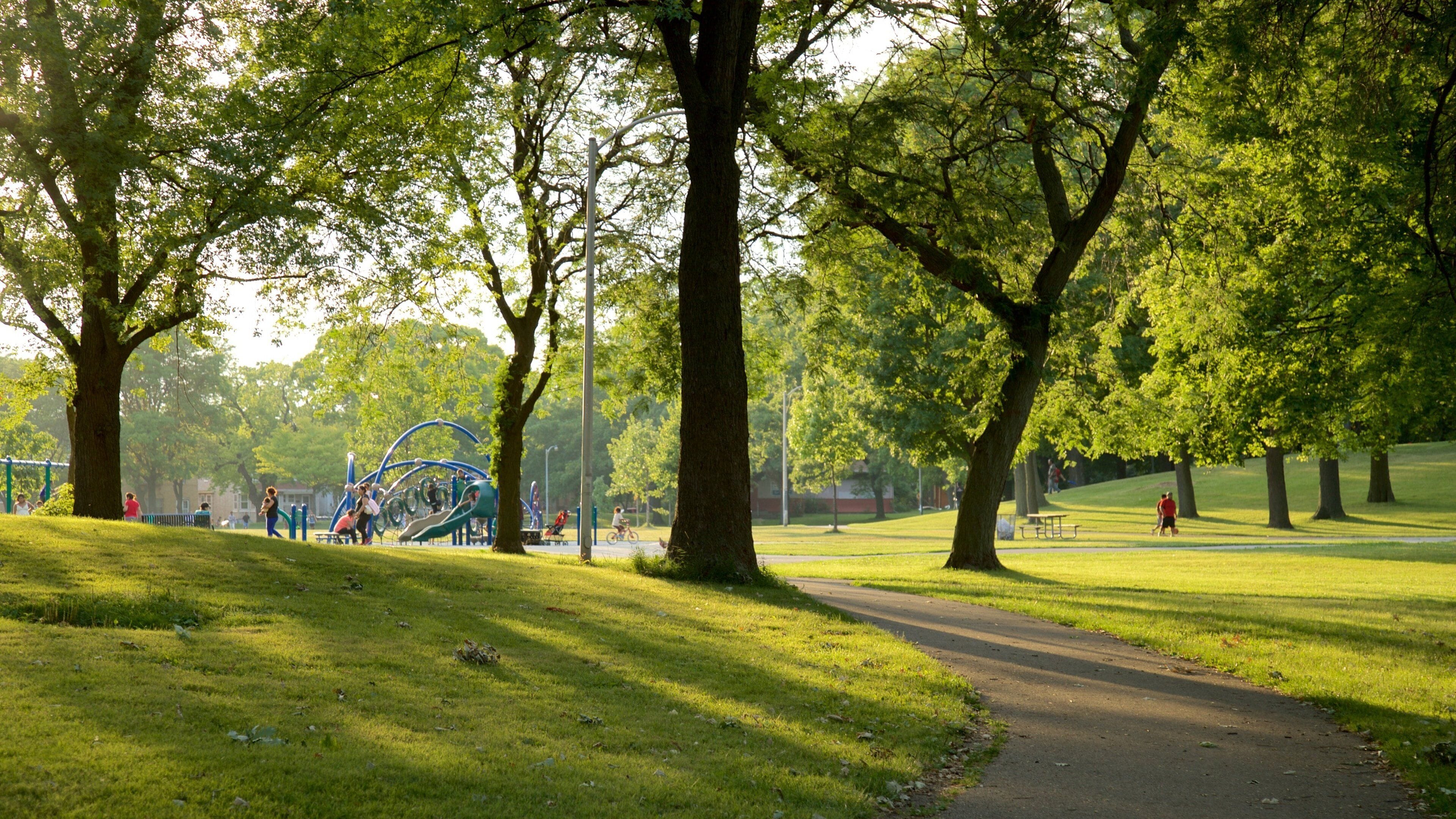 Milwaukee featuring a park