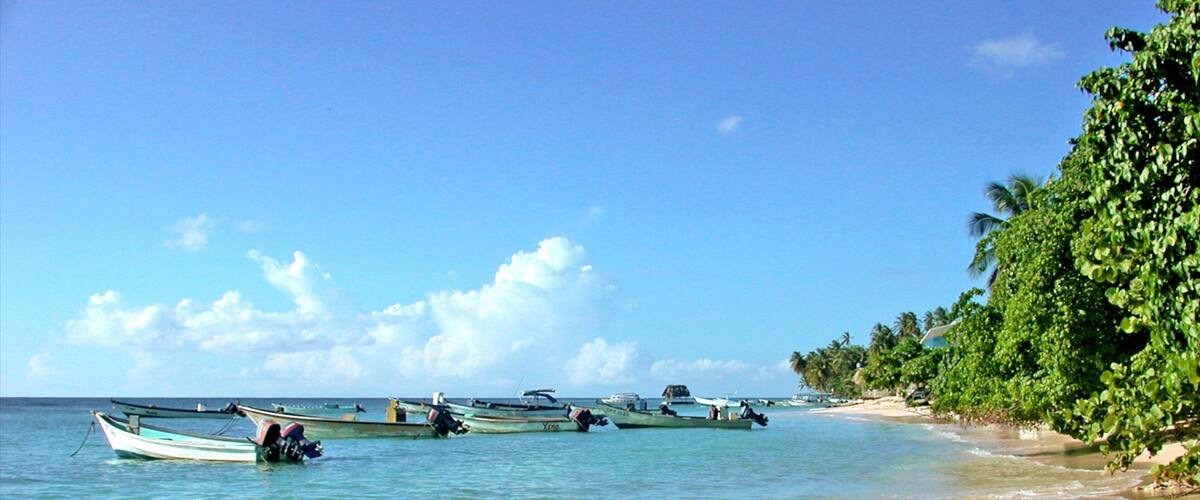A beach with several boats anchored near the shore, palm trees, and clear blue skies.