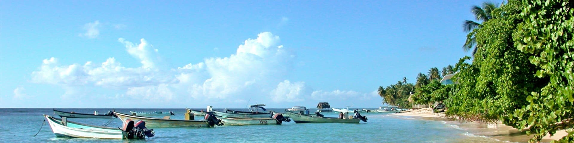 Trinidad which includes tropical scenes, a beach and boating