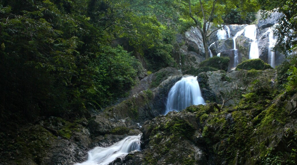 Trinidad og byder på et vandfald og skove