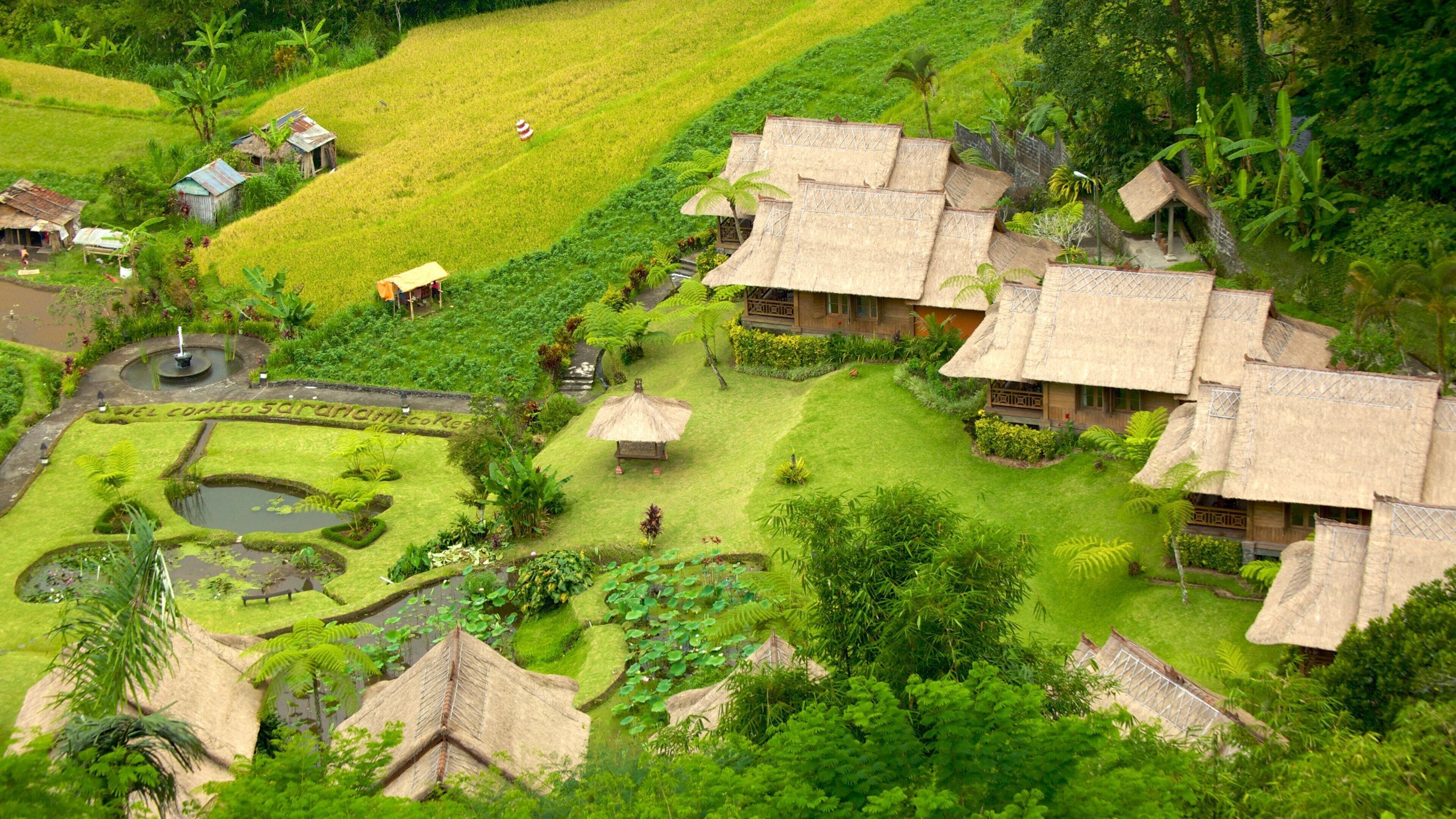 Bali fasiliteter samt luksushotell eller resort og rolig landskap