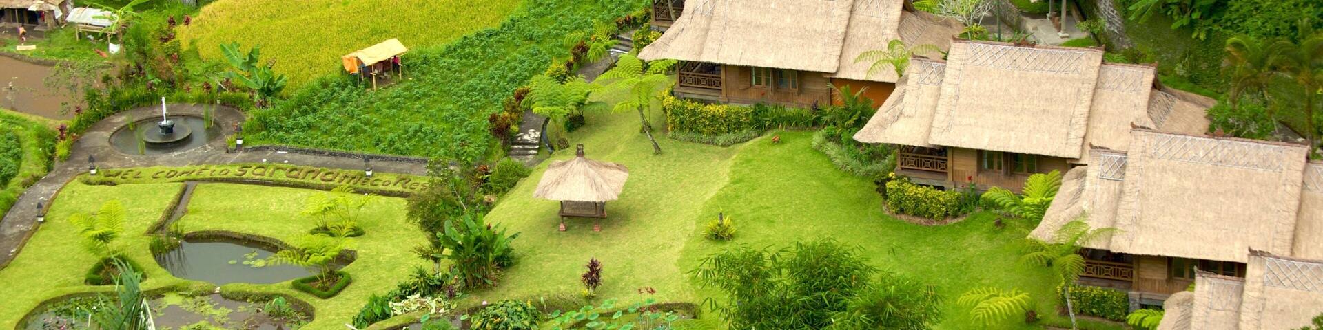 Bali featuring a luxury hotel or resort and tranquil scenes