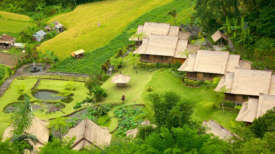 Bali fasiliteter samt luksushotell eller resort og rolig landskap