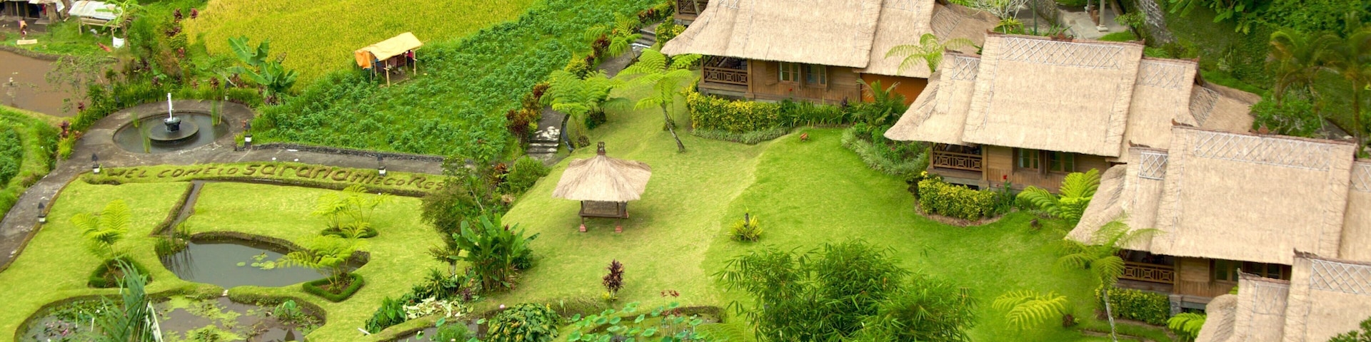 Bali featuring a luxury hotel or resort and tranquil scenes