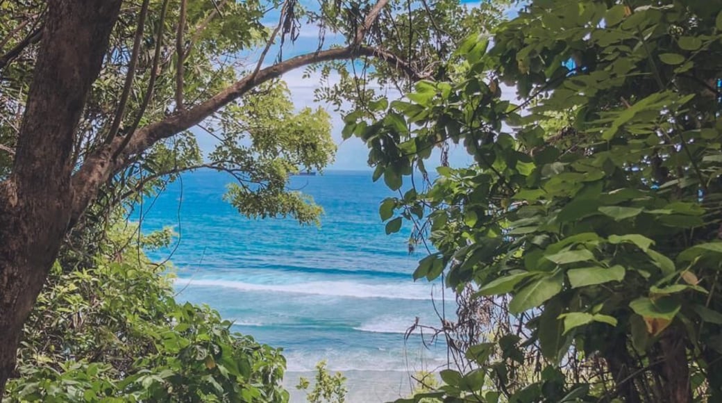 New Year New Getaway!!!
A beautiful hidden paradise for surfers in Bali. Challenging waves, brown sandy beach, and fresh air are perfect combination to describe this place. Come in early morning or afternoon before it's getting dark. Bring your own surfboard but don't surf too far from coastline. #LifeAtExpediaGroup