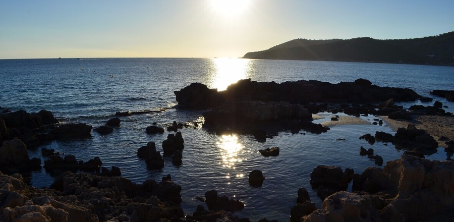Ses Salines