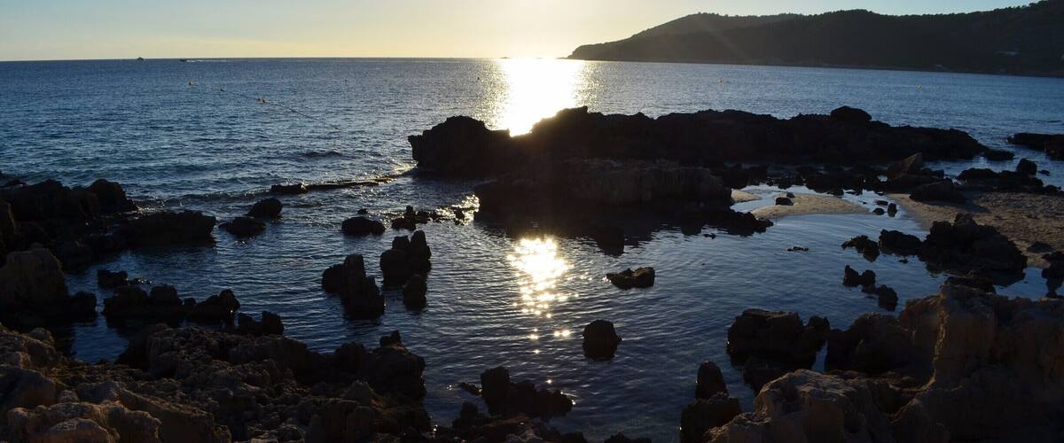 A rocky shoreline with the sun reflecting off the water.