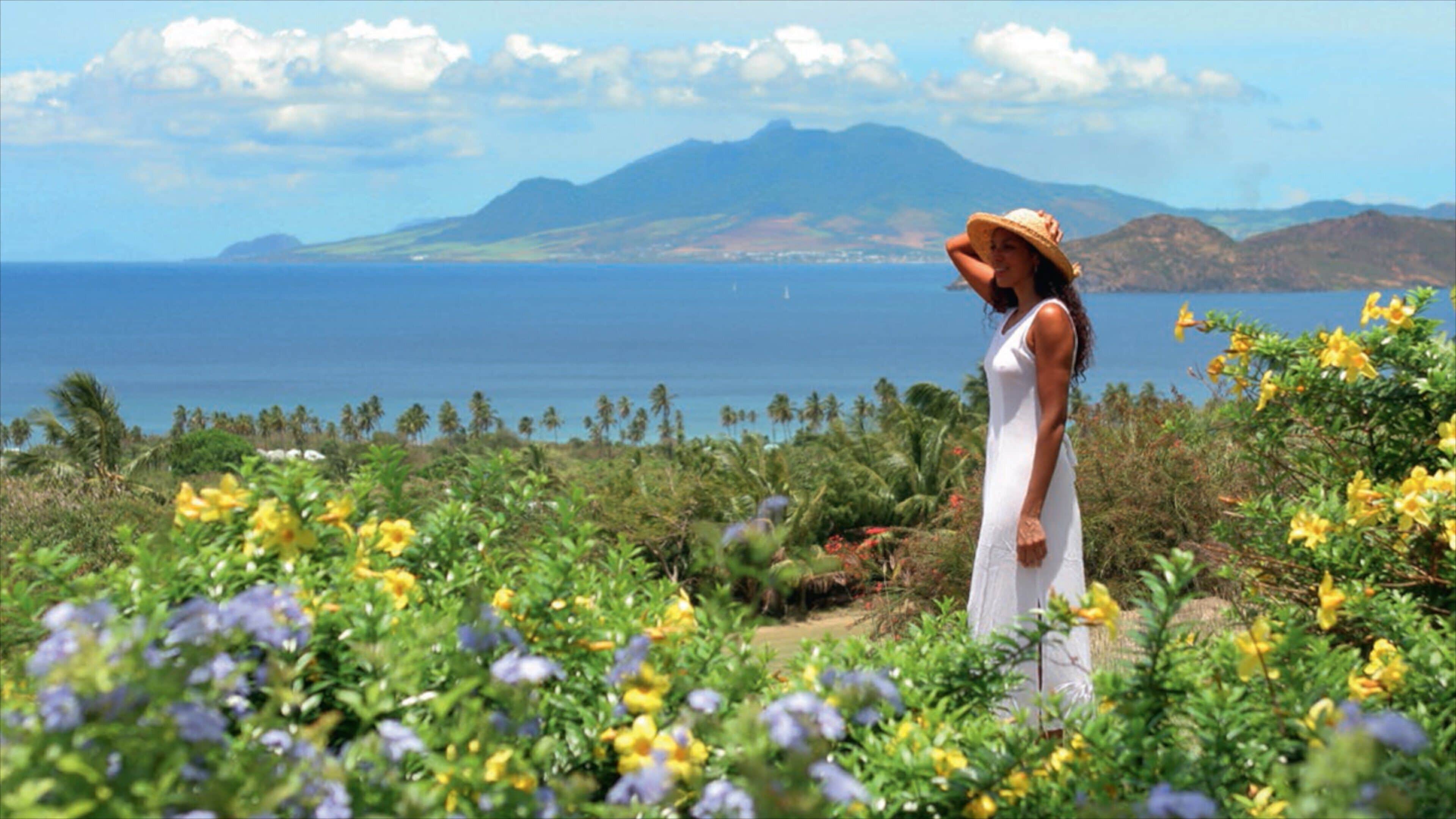 Nevis showing general coastal views and wildflowers as well as an individual femail