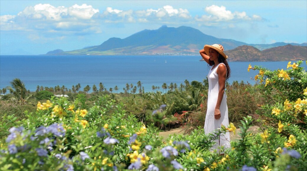 Nevis showing general coastal views and wildflowers as well as an individual femail