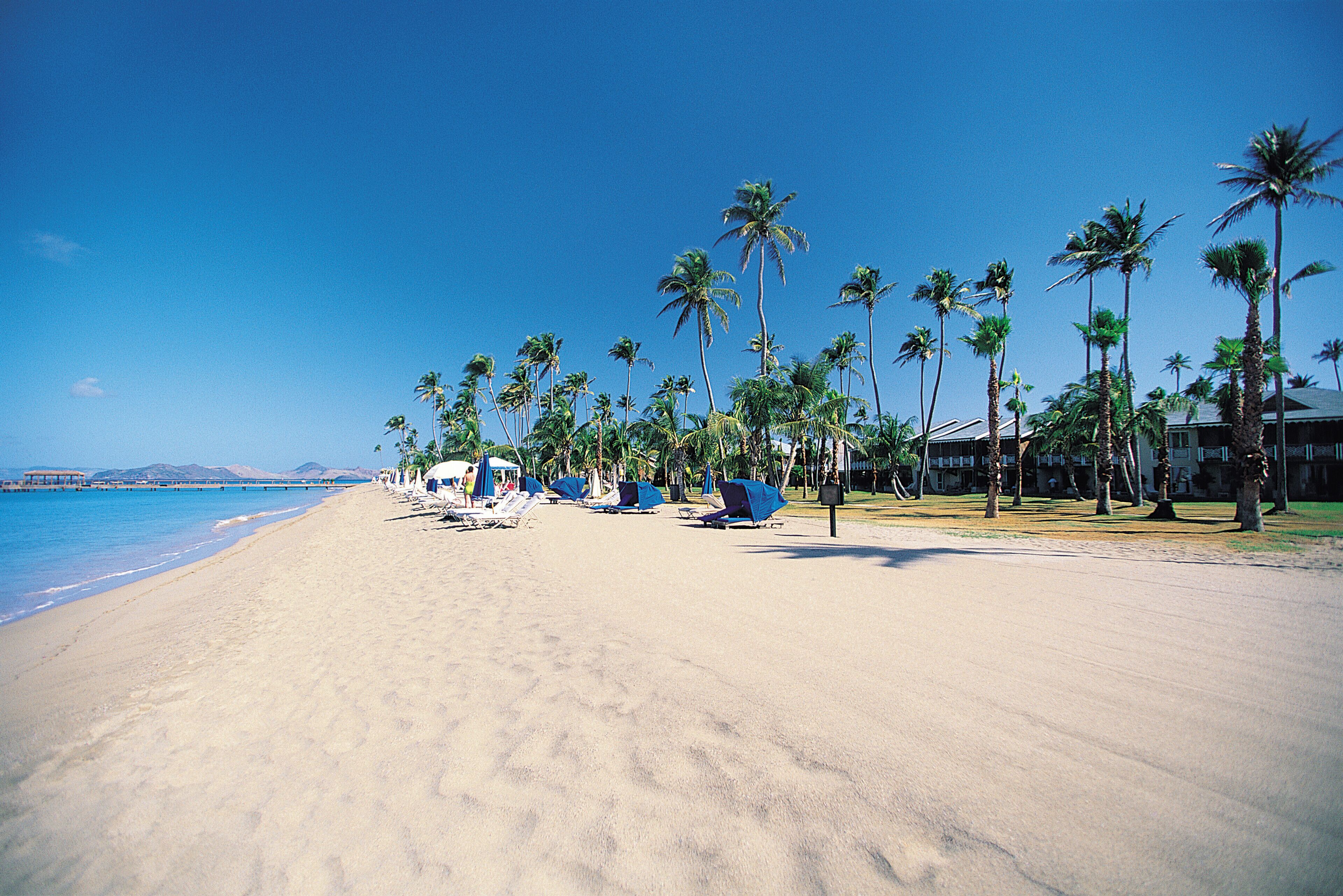 A beach with clear blue skies, palm trees, and sun loungers.