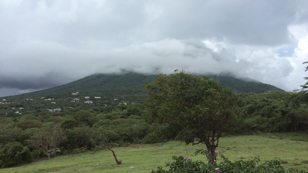A lush green landscape with a mountain in the background partially covered by clouds.