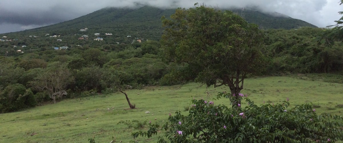 A lush green landscape with a mountain in the background partially covered by clouds.