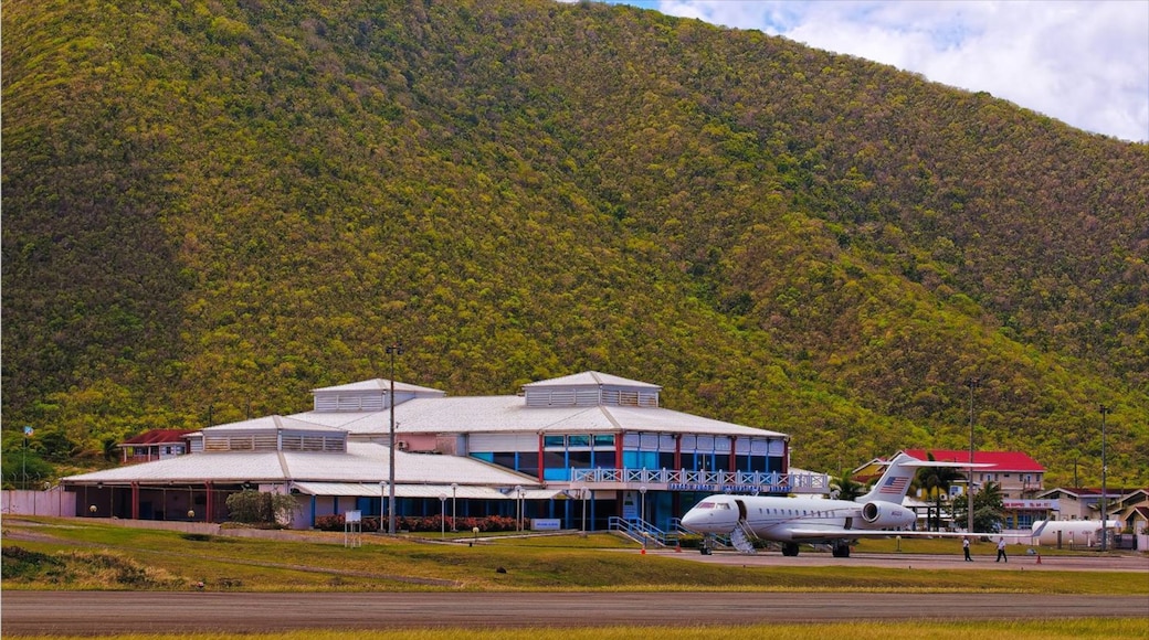 Nevis showing aircraft and an airport