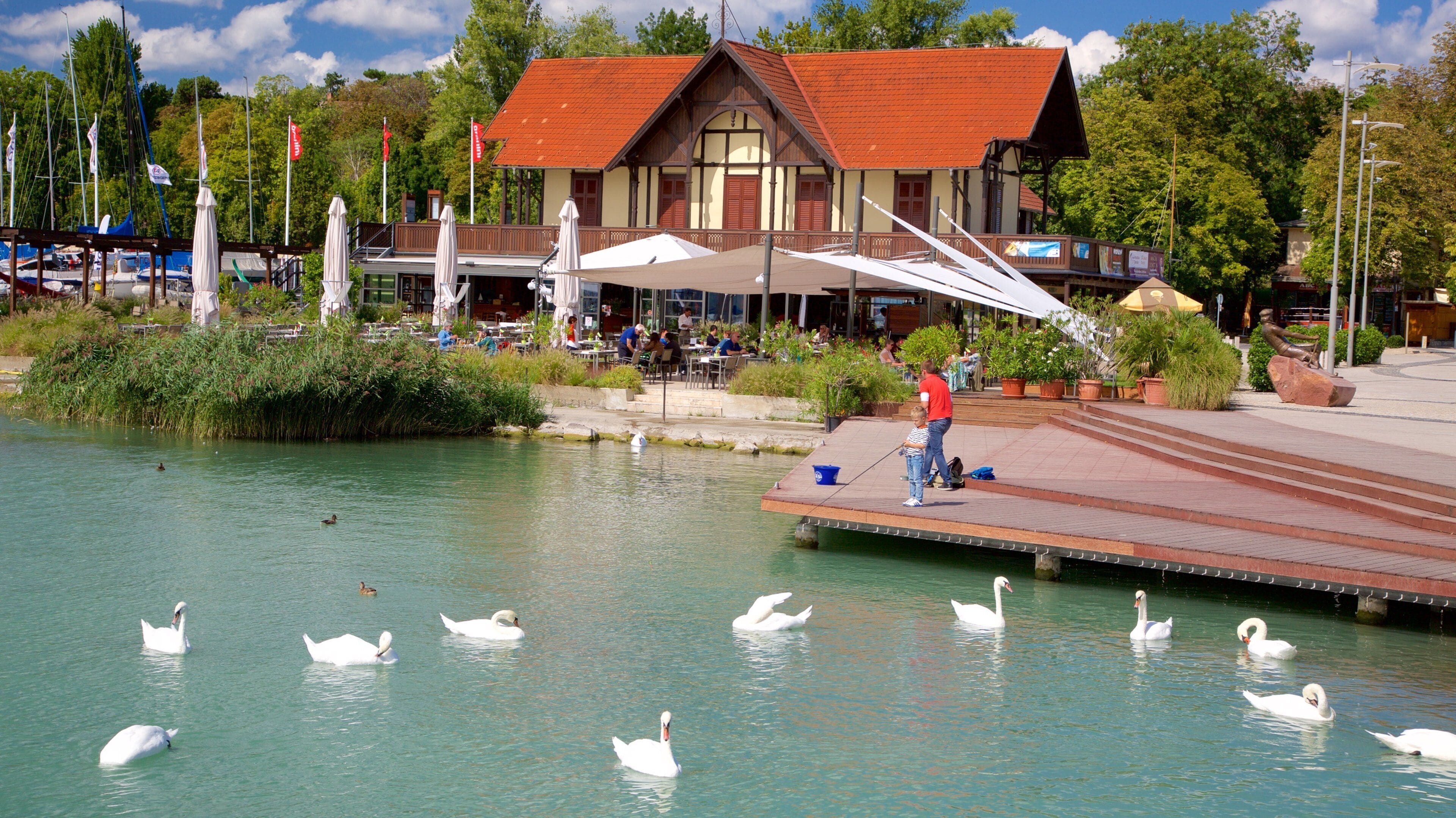 A lake with swans, a wooden dock, and a building with a red roof.