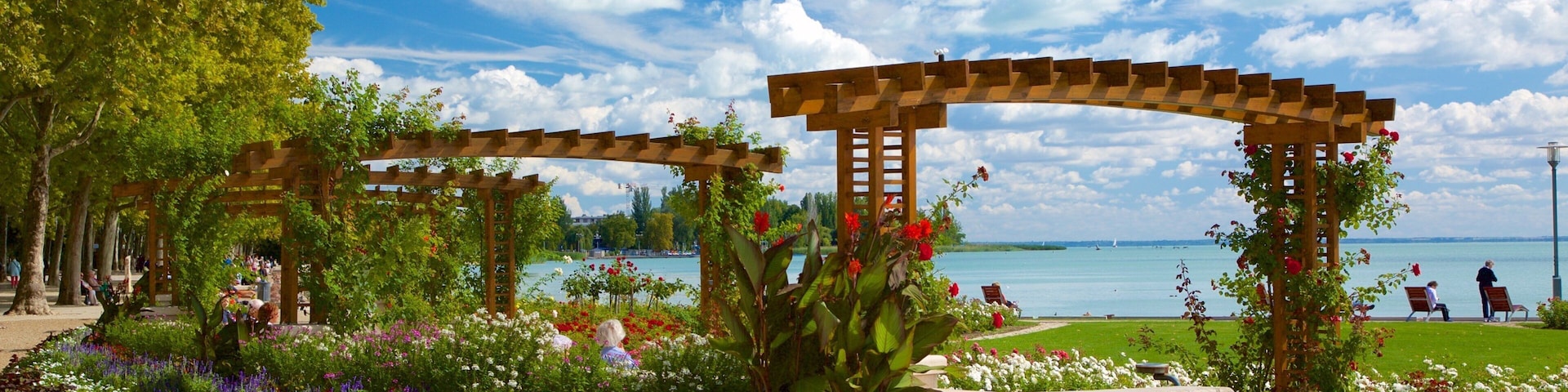 Balatonfüred ofreciendo flores, vistas de una costa y un parque