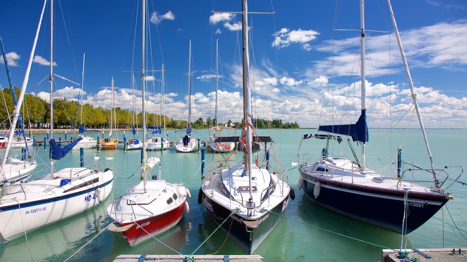 A marina with several sailboats docked.