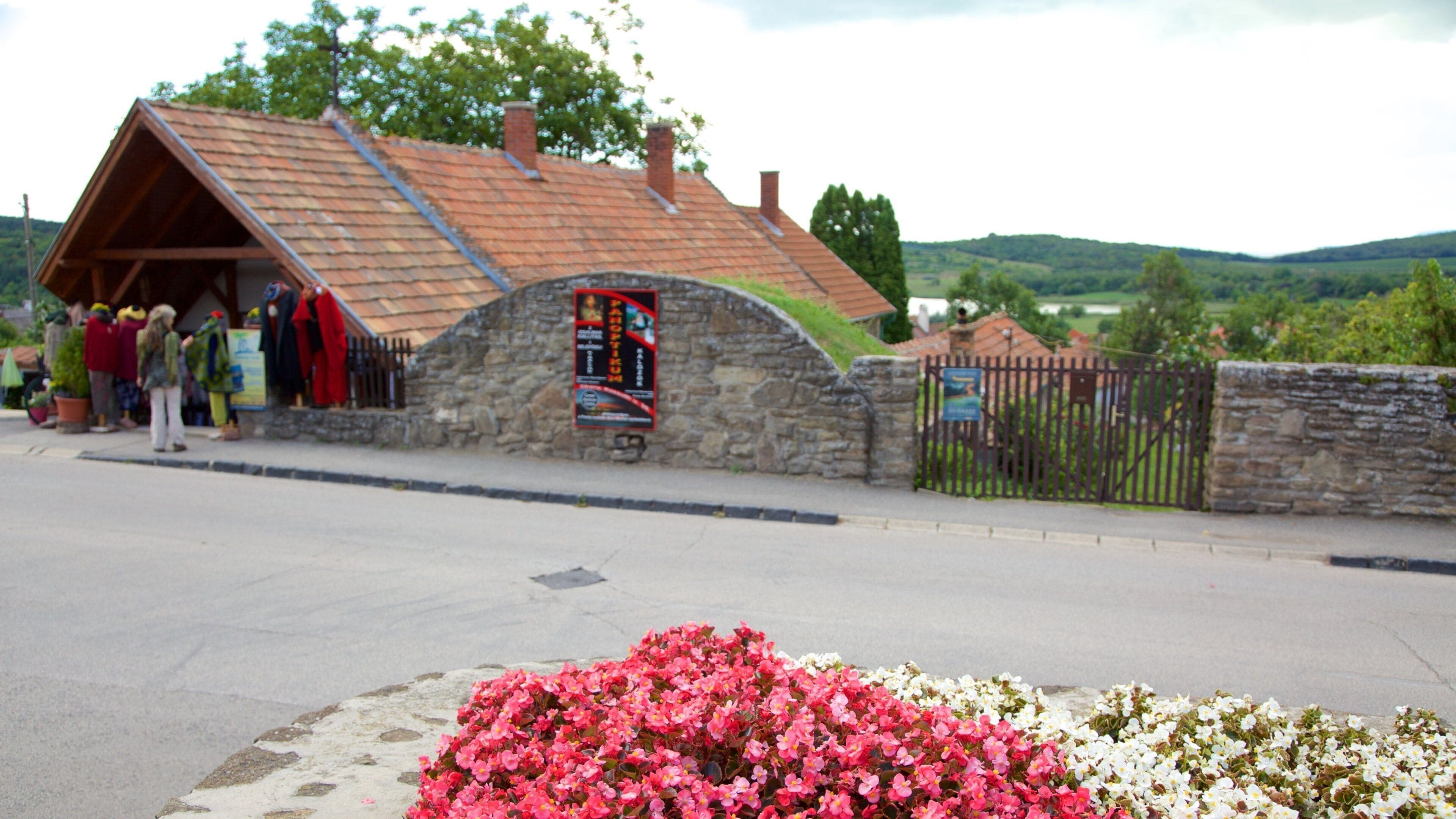 Tihany showing flowers