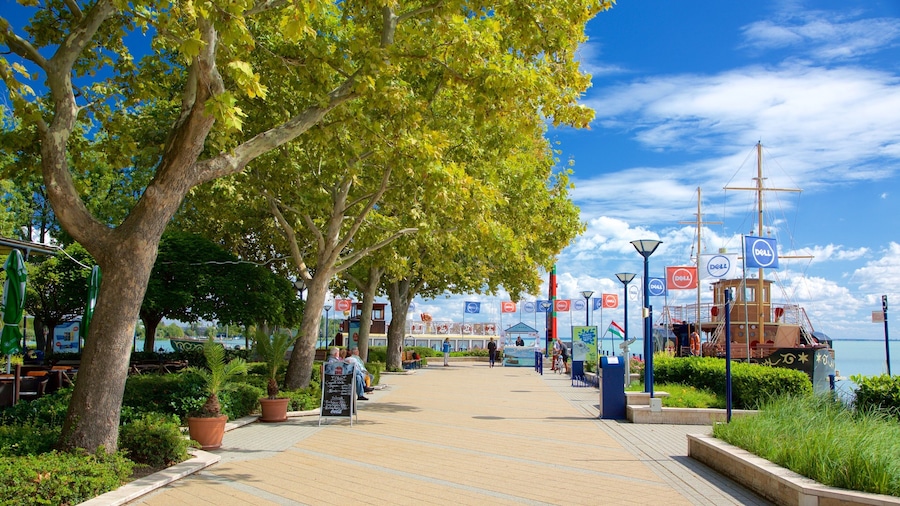 Balatonfured showing a park and a bay or harbour
