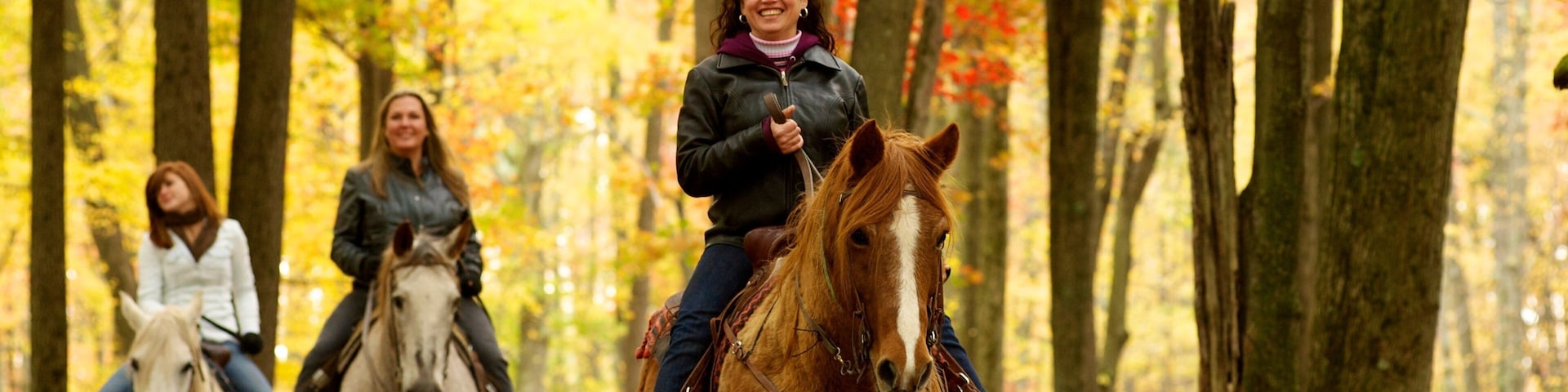 Pocono Mountains featuring land animals, fall colors and horseriding