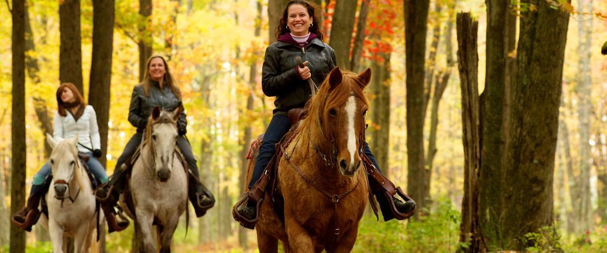 Three people riding horses through a forest with autumn-colored leaves.