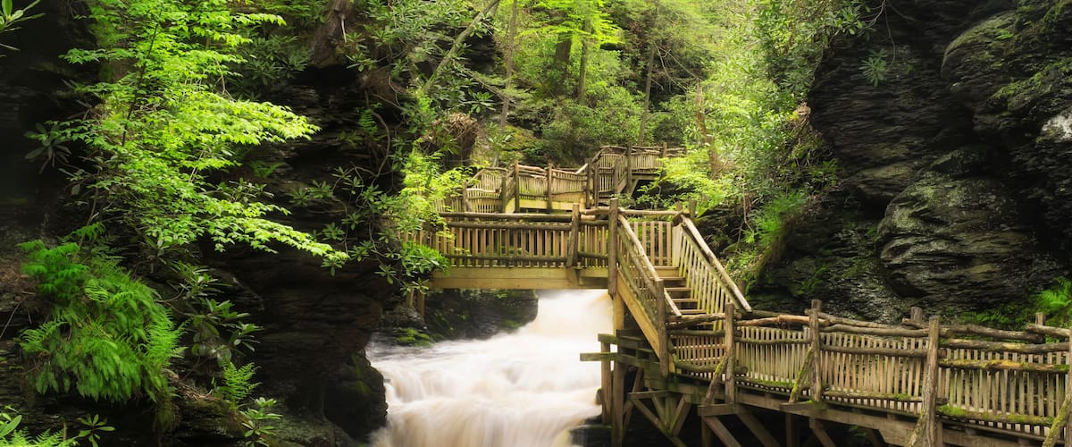 Bushkills fall scenic area and trail
